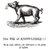 Pig of Knowledge